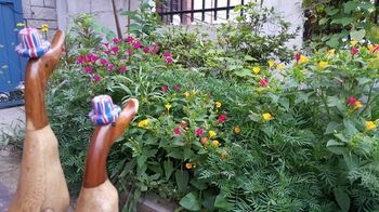 Itaewon Backpackers Hotel